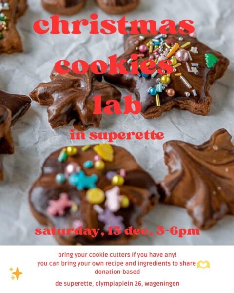 Christmas Cookies Lab