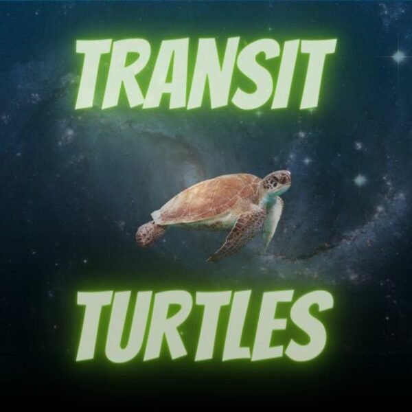 Live Music: Transit Turtles